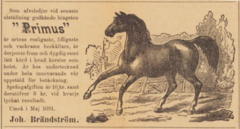 Westerbottens Kuriren 1901